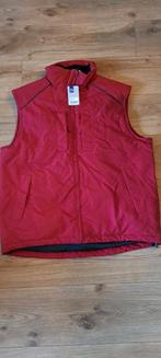 Pro job bordeaux rode bodywarmer maat M NIEUW, Maat 48/50 (M), Nieuw, Ophalen of Verzenden, Pro job