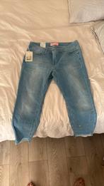 Pierre Cardin, Ophalen of Verzenden, Nieuw, Blauw