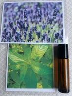 Rollerflesje 10 ml essentiële olie lavendel en pepermunt, Ophalen of Verzenden, Nieuw