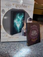 Harry Potter Canvas & Spellbook, Ophalen of Verzenden, Zo goed als nieuw, Film, Beeldje, Replica of Model