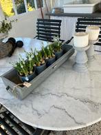 Zinken bak nieuw zonder plantjes, Tuin en Terras, Bloembakken en Plantenbakken, Overige materialen, Minder dan 30 cm, Minder dan 60 cm