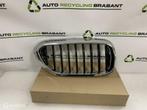 Grill Nier Rechts BMW 5 Serie G30 G31 M-PAKKET 51137390864, Auto-onderdelen, Gebruikt, Ophalen of Verzenden, BMW, BMW