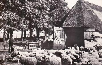 04331 - Ede - Schaapskooi - gel. 1967 beschikbaar voor biedingen
