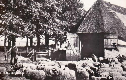 04331 - Ede - Schaapskooi - gel. 1967, Verzamelen, Ansichtkaarten | Nederland, Gelopen, Gelderland, 1960 tot 1980, Verzenden