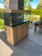 260 liter jewel aquarium met kast, Ophalen, Zo goed als nieuw, Leeg aquarium