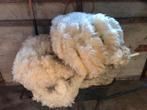 Texelse Schapenwol te koop!, Hobby en Vrije tijd, Spinnewielen en Spinnen, Ophalen of Verzenden, Nieuw, Spinnewiel