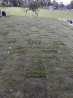 15 m2 graszoden, Ophalen of Verzenden, Nieuw, 20 m² of meer