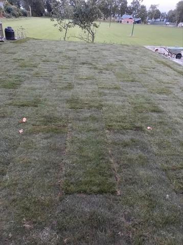 15 m2 graszoden beschikbaar voor biedingen