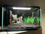 Superfish home 25, Dieren en Toebehoren, Vissen | Aquaria en Toebehoren, Ophalen, Zo goed als nieuw, Gevuld zoetwateraquarium
