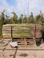 Boompalen, Ophalen, 250 cm of meer, Palen