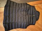 bodywarmer Goldbergh mt 42, Kleding | Dames, Bodywarmers, Zwart, Maat 42/44 (L), Ophalen of Verzenden, Zo goed als nieuw