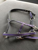 Leuk paars halster, maat shetland, Ophalen of Verzenden, Zo goed als nieuw, Overige soorten