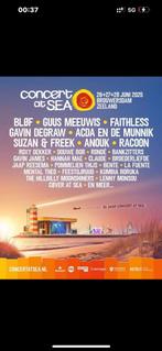 VIP parkeerplaats concert at sea vrijdag 27 juni