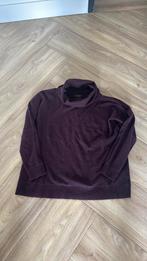 Allsaints cashmere trui maat M als nieuw!!!, Ophalen of Verzenden, Zo goed als nieuw, Maat 38/40 (M), Bruin
