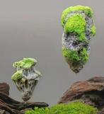 Drijvende aquarium rotsen, Dieren en Toebehoren, Ophalen of Verzenden, Nieuw, Overige typen