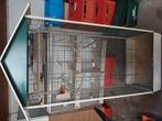 Binnenvoliere igsz, Dieren en Toebehoren, Minder dan 60 cm, Kooi, Minder dan 75 cm, Ophalen of Verzenden