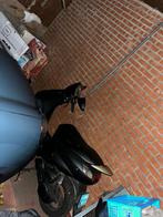 Mooie zwarte Vivacity van Peugeot, Fietsen en Brommers, Ophalen, Peugeot vivacity, 49 cc, Zo goed als nieuw