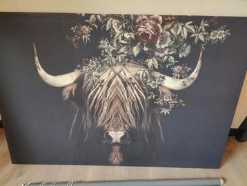 Schilderij/canvas Schotse hooglander beschikbaar voor biedingen