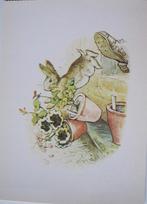 Beatrix Potter - tale of Peter Rabbit - 1920 - nieuw, Verzenden, 1980 tot heden, Ongelopen, Overige thema's