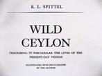 RL Spittel: the life of Vedda's  originele fotos uit 1924, Ophalen of Verzenden