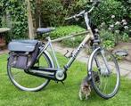 Giant Twist Go Double E-bike Heren - met dubbele accu, Fietsen en Brommers, Elektrische fietsen, Gebruikt, Ophalen of Verzenden