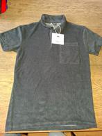 JM shoeby. polo badstof, Kinderen en Baby's, Kinderkleding | Maat 170, Ophalen, Nieuw, Jongen, Shirt of Longsleeve