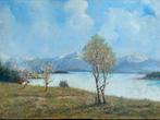 Berglandschap, Ophalen of Verzenden