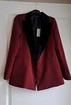 Lofty Manner Blazer - Bordeaux Rood met Fluweel - Maat S, Lofty Manner, Nieuw, Ophalen of Verzenden, Jasje
