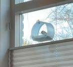 Raamvoederhuisje - Vogels kijken vanuit je huis!, Ophalen of Verzenden, Nieuw
