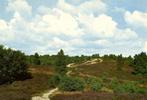 Groeten uit Dwingeloo - heide - 1972 gelopen, Ophalen of Verzenden, 1960 tot 1980, Gelopen