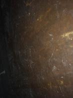 Brandwerende platen 2 stuk, Doe-het-zelf en Verbouw, Platen en Panelen, Ophalen, Zo goed als nieuw, Minder dan 20 mm