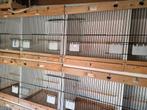 Broedkooien, Dieren en Toebehoren, Vogels | Hokken en Kooien, Ophalen, Hout, Broedkooi of Kweekkooi