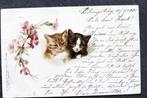 Twee jonge poezen liefdevol bij elkaar, 1901, Verzamelen, Ansichtkaarten | Dieren, Verzenden, Voor 1920, Gelopen, Hond of Kat