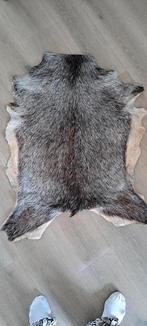 Dierenhuid Geit, Ophalen of Verzenden, Nieuw