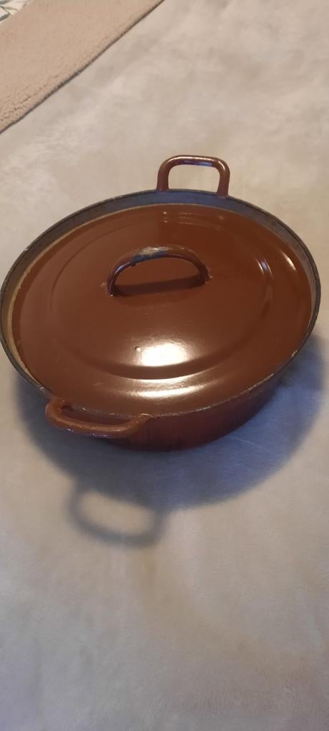 Grote stevige braadpan/kookpan - veel gebruikt., Gebruikt, Gietijzer, Ophalen of Verzenden, Keramische plaat