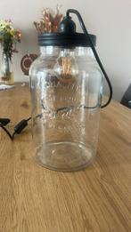 Terrarium met lamp. 36cm hoog, Ophalen of Verzenden, Zo goed als nieuw