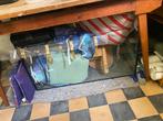 Aquarium groot, Ophalen, Zo goed als nieuw, Leeg aquarium