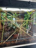 Terrarium/vivarium zelfbouw, Ophalen, Gebruikt, Terrarium of Paludarium