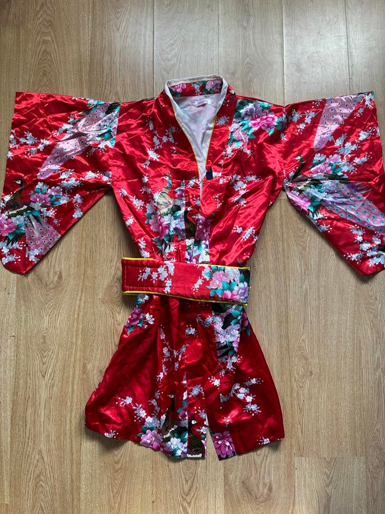 Carnaval Kimono in levendige kleuren maat 140, Ophalen, Zo goed als nieuw, Rood