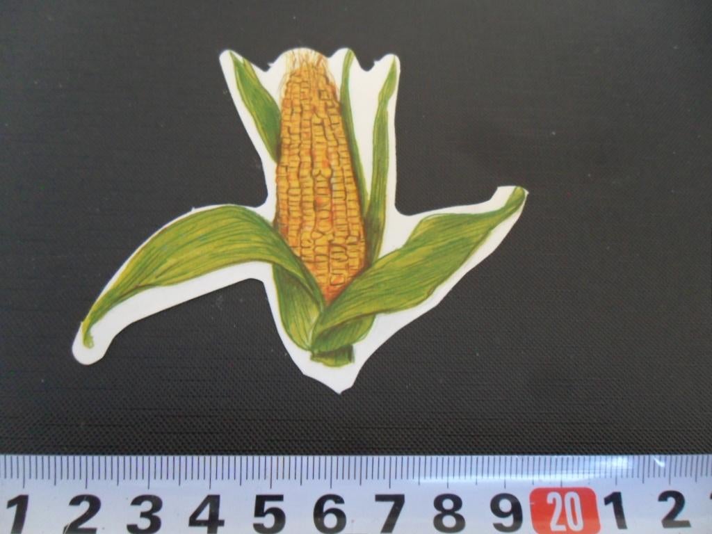 sticker Maiskolf  Mais, Ophalen, Zo goed als nieuw
