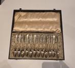 Zilveren theelepels set in cassette, Antiek en Kunst, Ophalen of Verzenden
