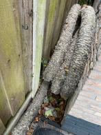 Drainagebuis 100mm,  +/ - 10 meter, Overige materialen, Gebruikt, 15 m² of meer, Ophalen