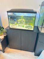 Aquarium Superfish 70 Liter incl kast, Dieren en Toebehoren, Vissen | Aquaria en Toebehoren, Ophalen, Gebruikt, Leeg aquarium