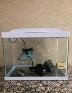 Superfish 20 liter wit aquarium 20L met deksel en toebehoren, Dieren en Toebehoren, Ophalen, Zo goed als nieuw, Leeg aquarium