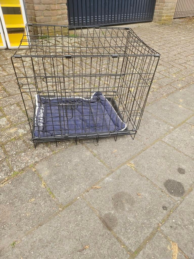 Honden bench, Dieren en Toebehoren, Ophalen