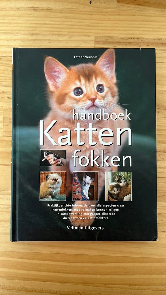 Handboek Katten fokken - Ester Verhoef, Ophalen of Verzenden, Zo goed als nieuw, Katten