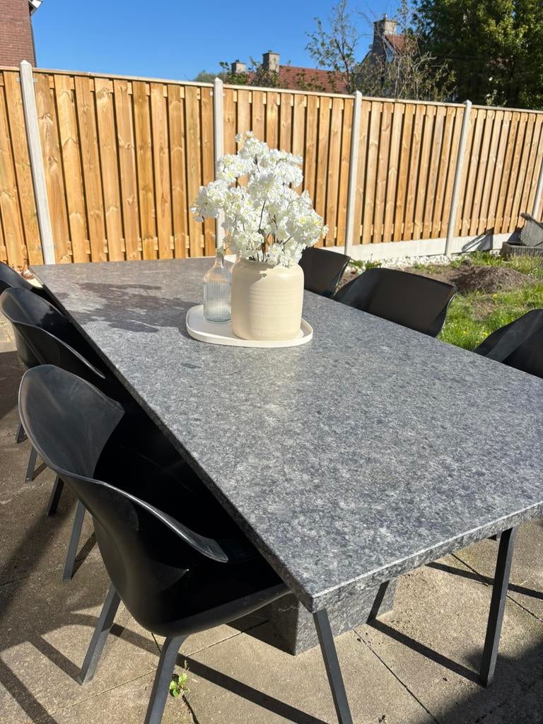 tuintafel 220 x 100 cm, Ophalen, Gebruikt, Overige materialen, 6 zitplaatsen