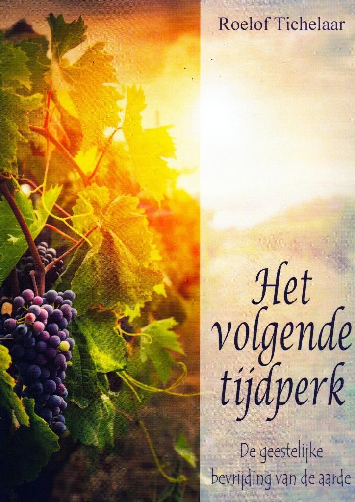 Het Volgende Tijdperk - Roelof Tichelaar / 9789082263985, Ophalen of Verzenden, Zo goed als nieuw, Roelof Tichelaar