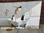 Canvas pinguin in bad afhaal €10,-, Ophalen, Nieuw, 50 tot 75 cm, Schilderij