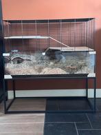 Ferplast kooi karat 100 incl. tafeltje en veel meer!, Kooi, Zo goed als nieuw, 75 tot 110 cm, Ophalen
